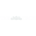 The Times newspaper logo